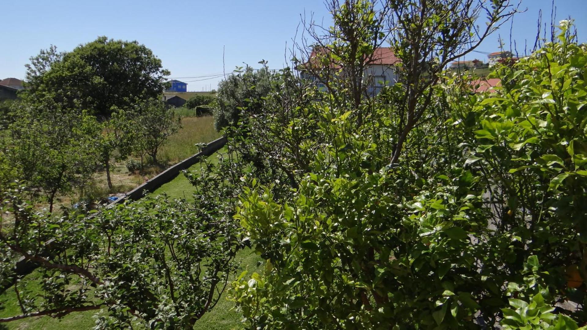 Casa De Lolo En Larino Villa Carnota Exterior photo